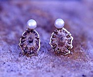 earrings with limpets and pearl boutons